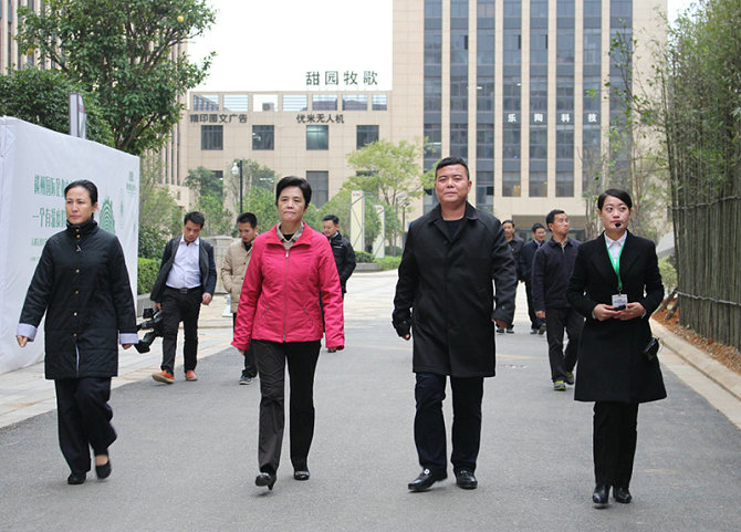 省人民政府副省长谢茹调研赣州国际企业中心科技创新工作