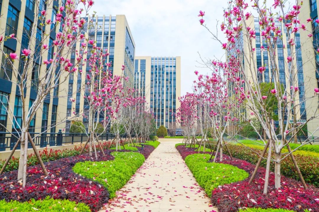 深耕服务，厚植专精特新发展土壤