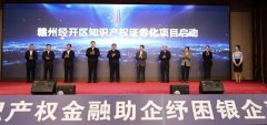 赣州市知识产权金融助企纾困银企对接会在恒科产业园举办